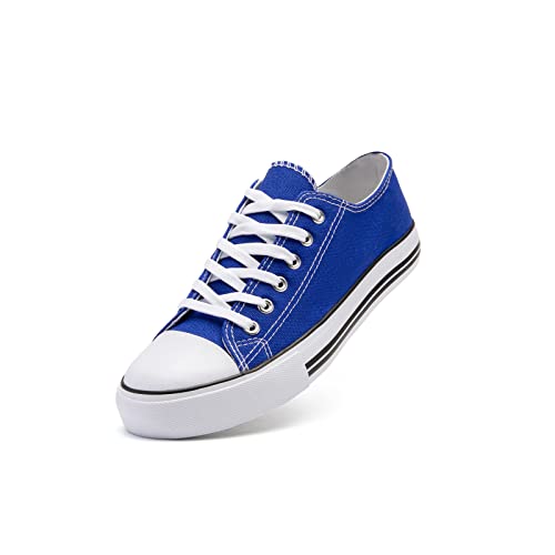 You are currently viewing Ultimate Guide To Stylish Blue Shoes: Find Your Perfect Pair Today